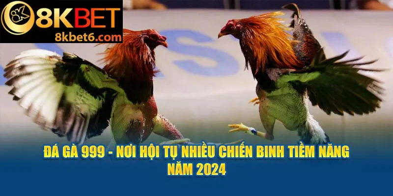 Đá Gà 999 - Nơi Hội Tụ Nhiều Chiến Binh Tiềm Năng 8KBET