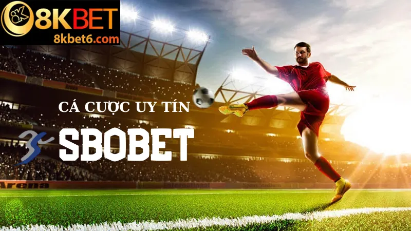 Đại lý SBOBET sẽ được làm việc với một nhà cái uy tín lâu năm