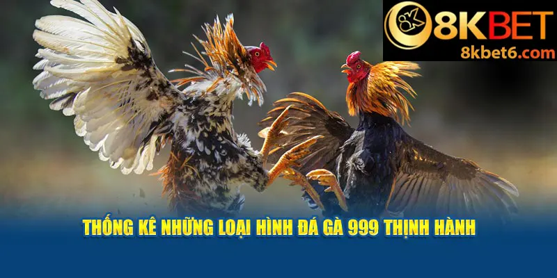 Thống kê những loại hình đá gà 999 thịnh hành