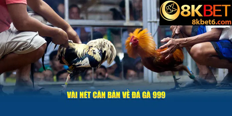 Vài nét căn bản về đá gà 999